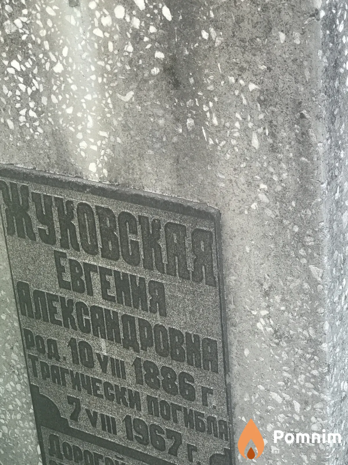 Жуковская Евгения Александровна