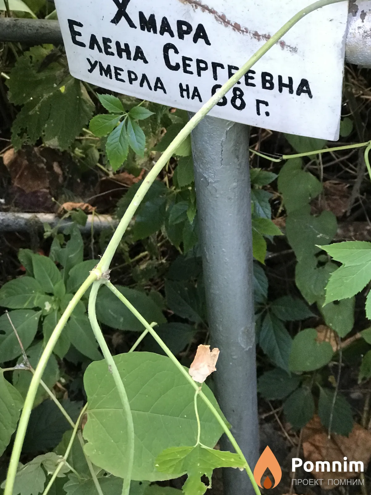 Хмара Елена Сергеевна