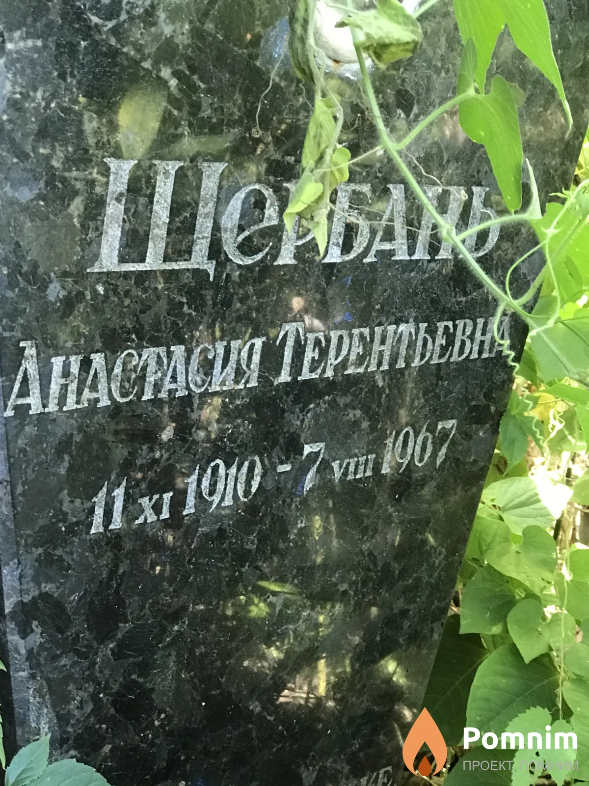Щсабак Анастаси Терентьевна