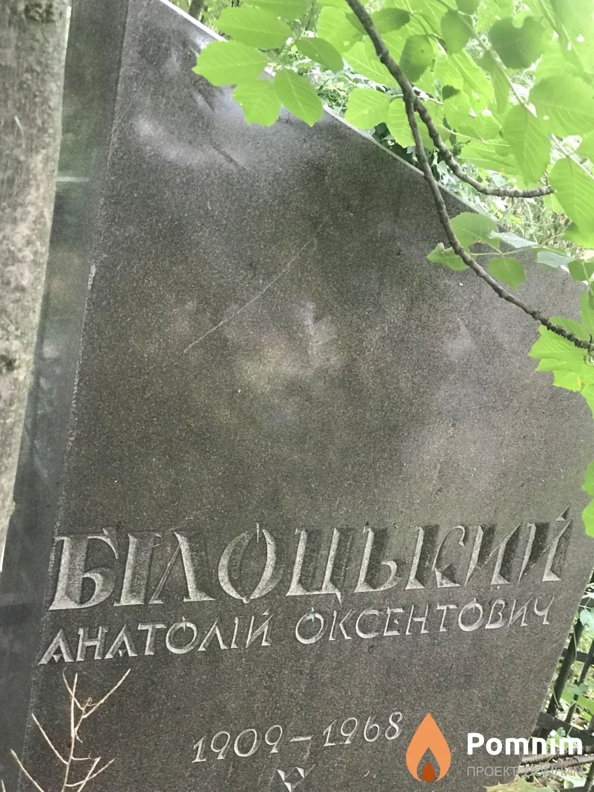 Билоцький Анатолий Оксентович