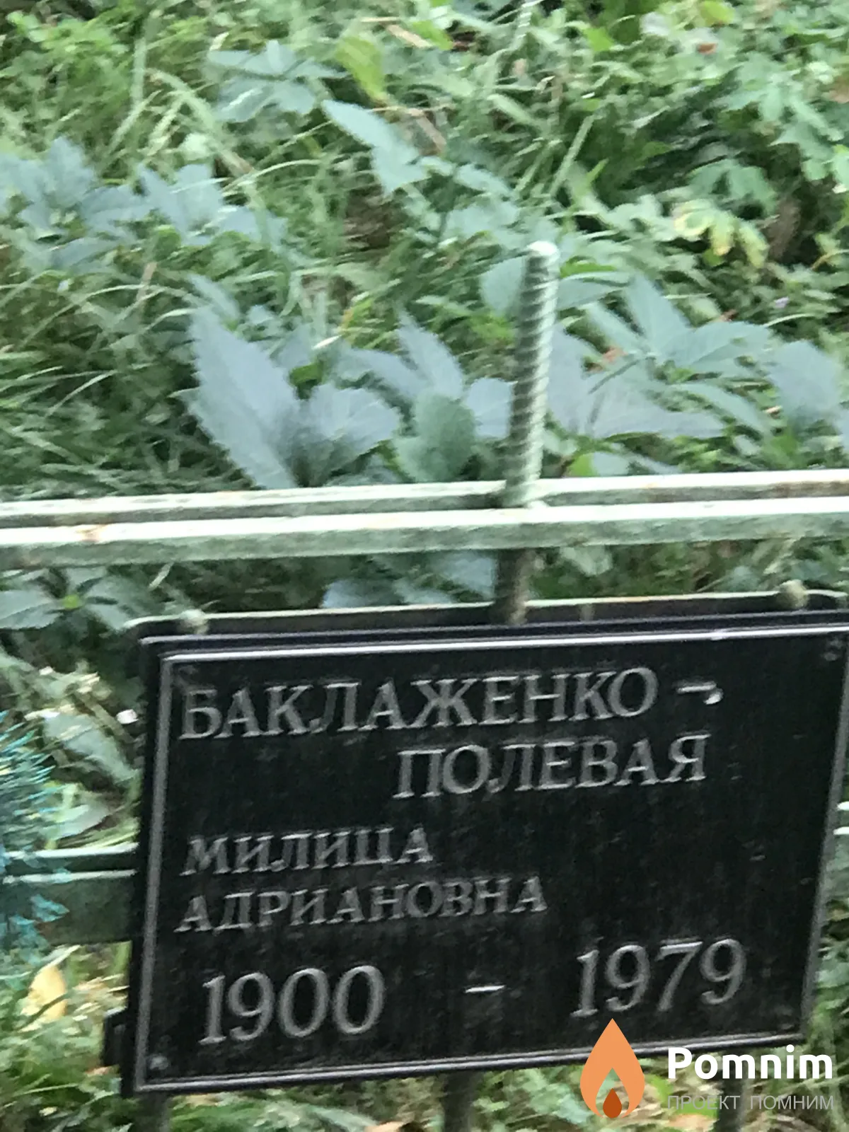 Баклаженко Полевая Милица