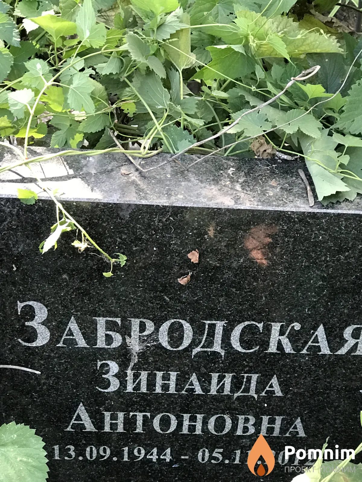 Забродская Зинаида Антоновна