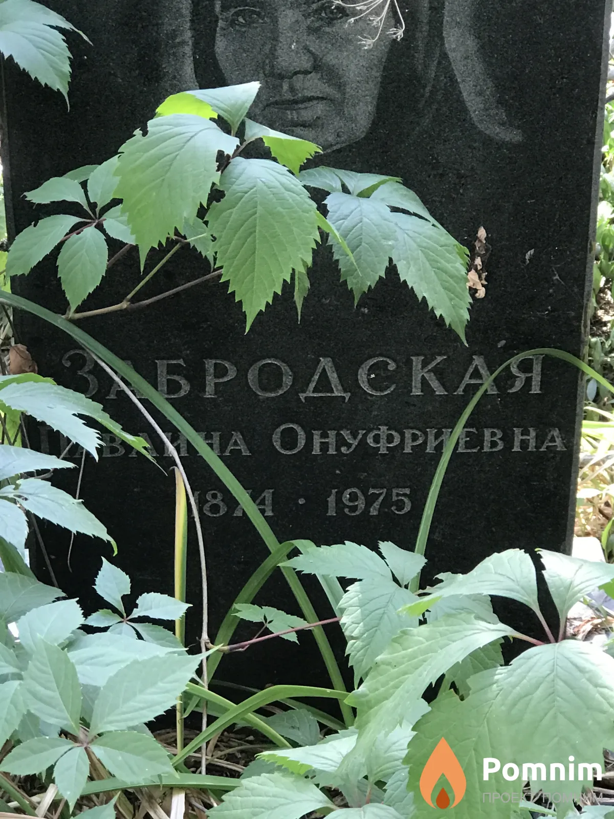 Забродская Павлина Онуфриевна