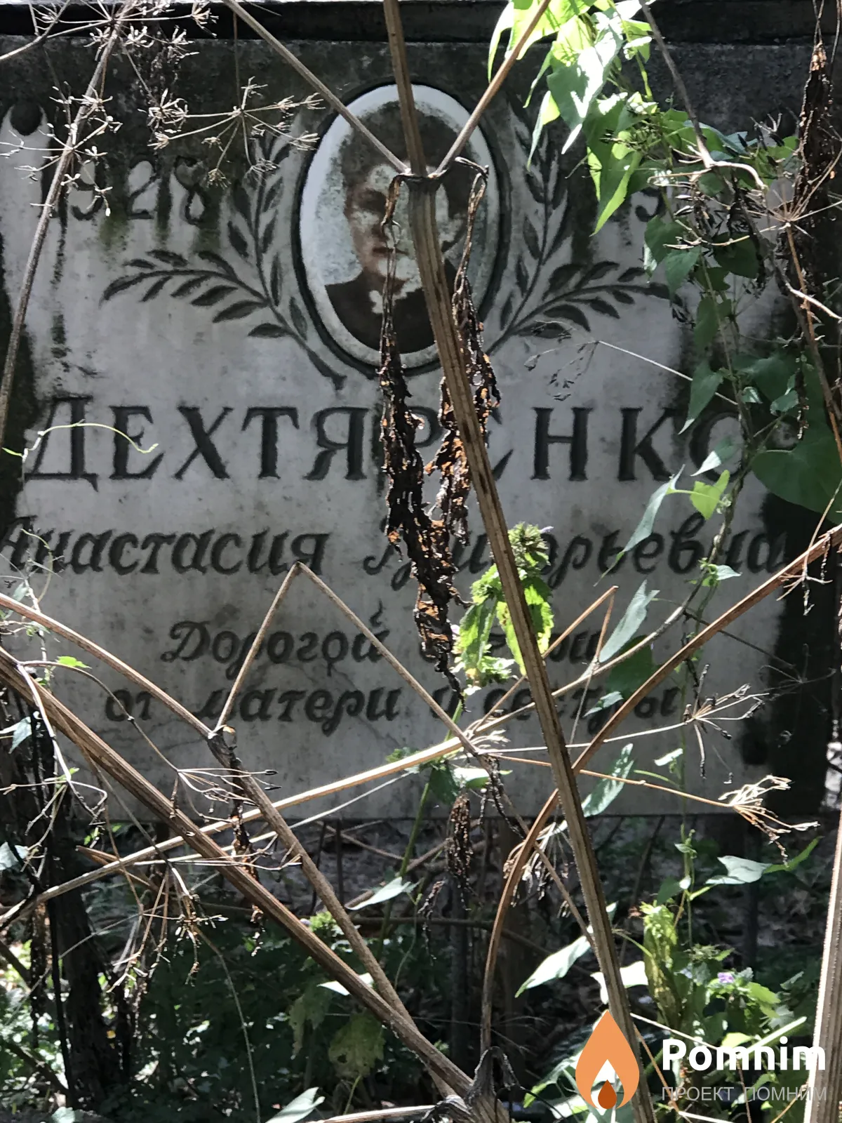 Дехтяренко Анастасия Григорьевна