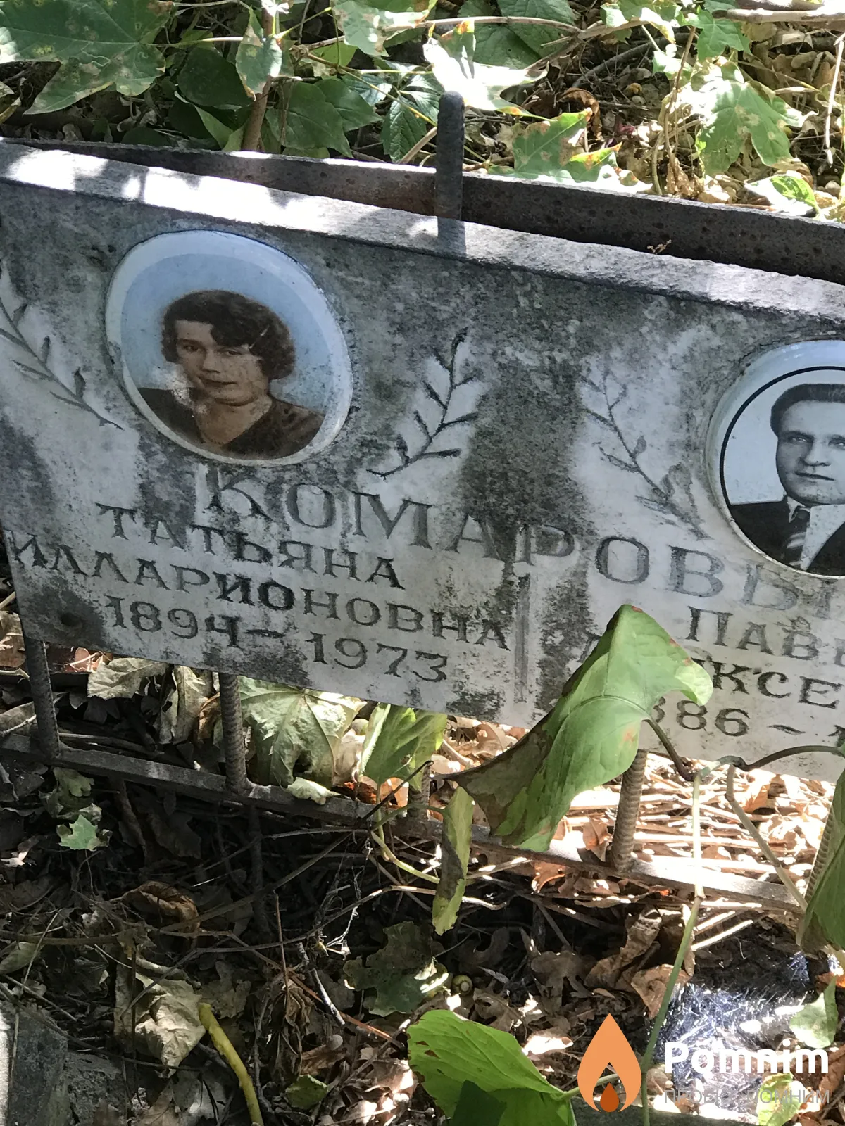 Комарова Татьяна Илларионовна