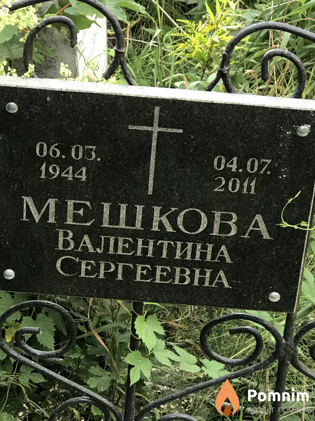 Мешкова Валентина Сергеевна