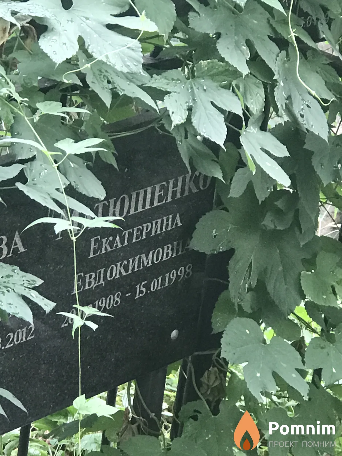 Матюшенко Екатерина Евдокимовна