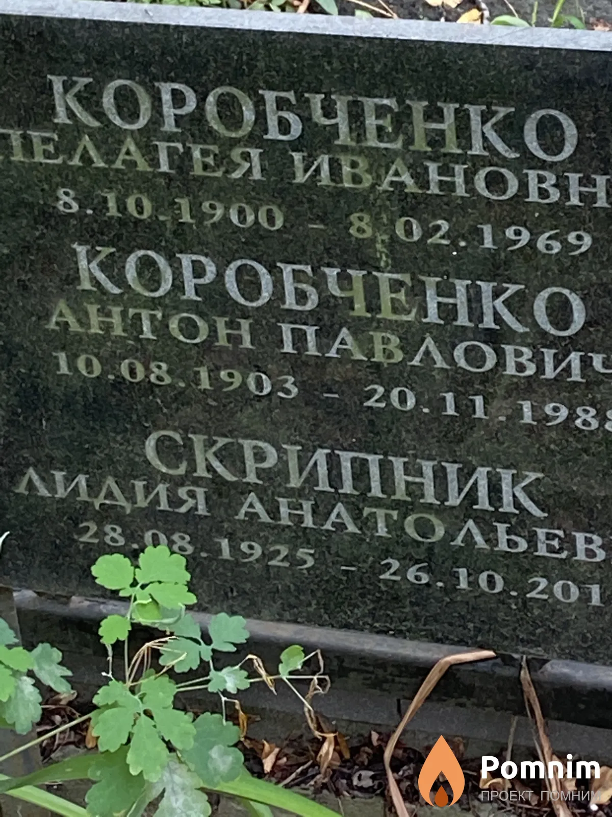 Коробченко Антон Павлович
