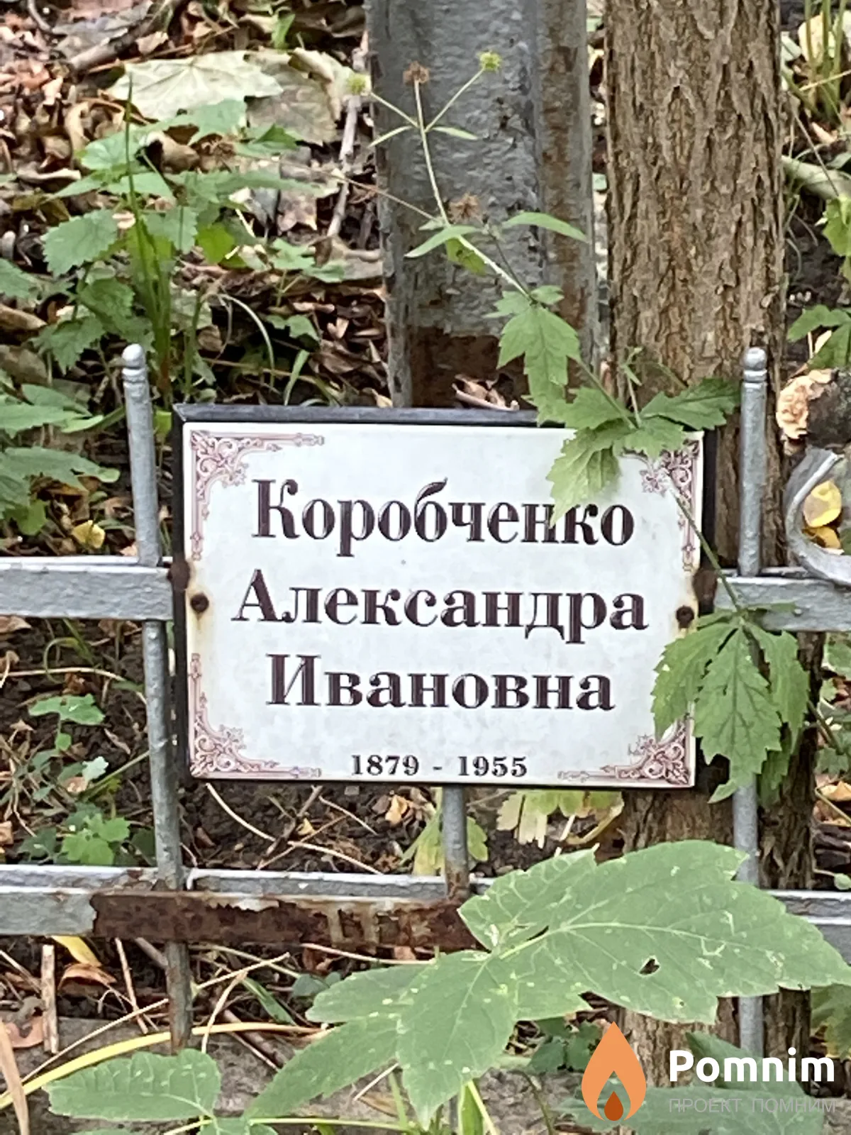 Коробченко Александра Ивановна