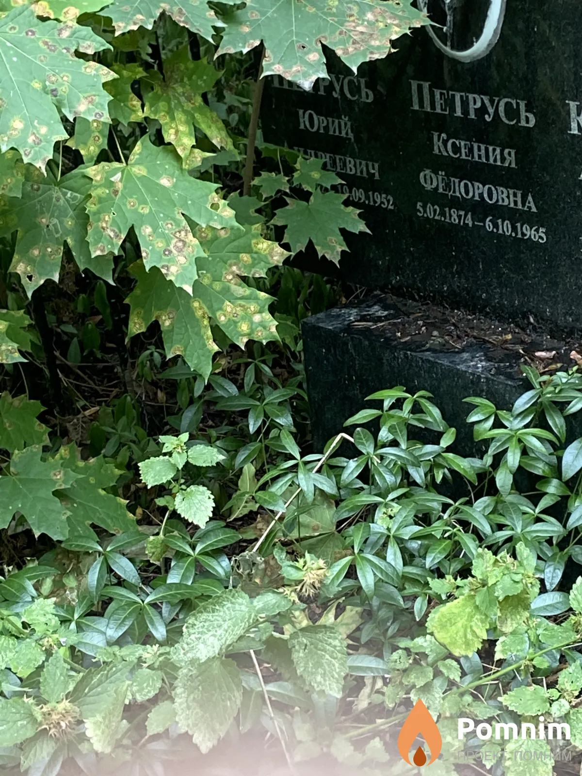 Петрусь Юрий Андреевич