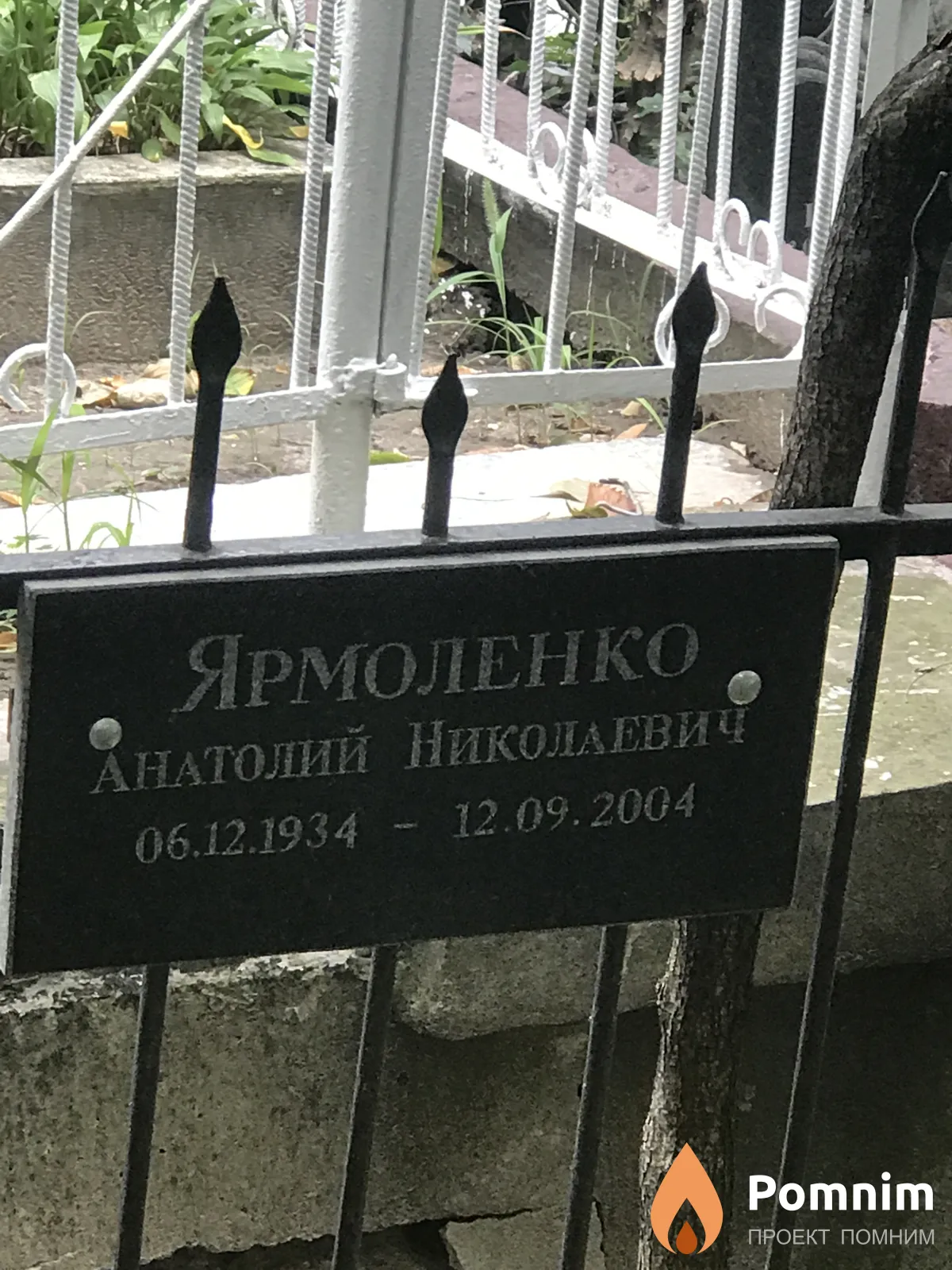 Ярмоленко Анатолий Николаевич