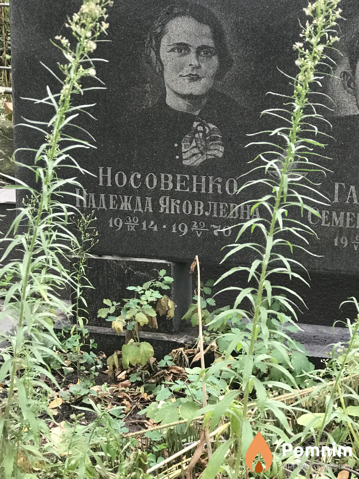 Носовенко Надежда Яковлена