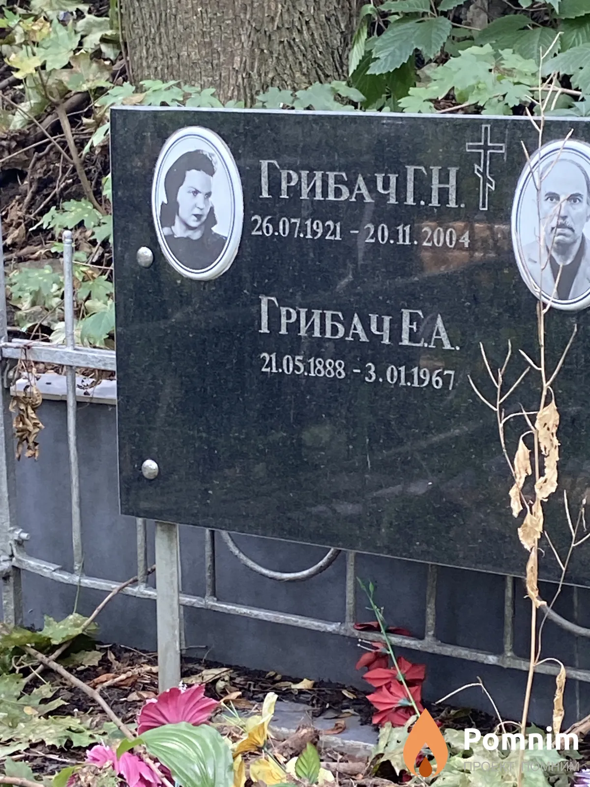 Грибач Г Н