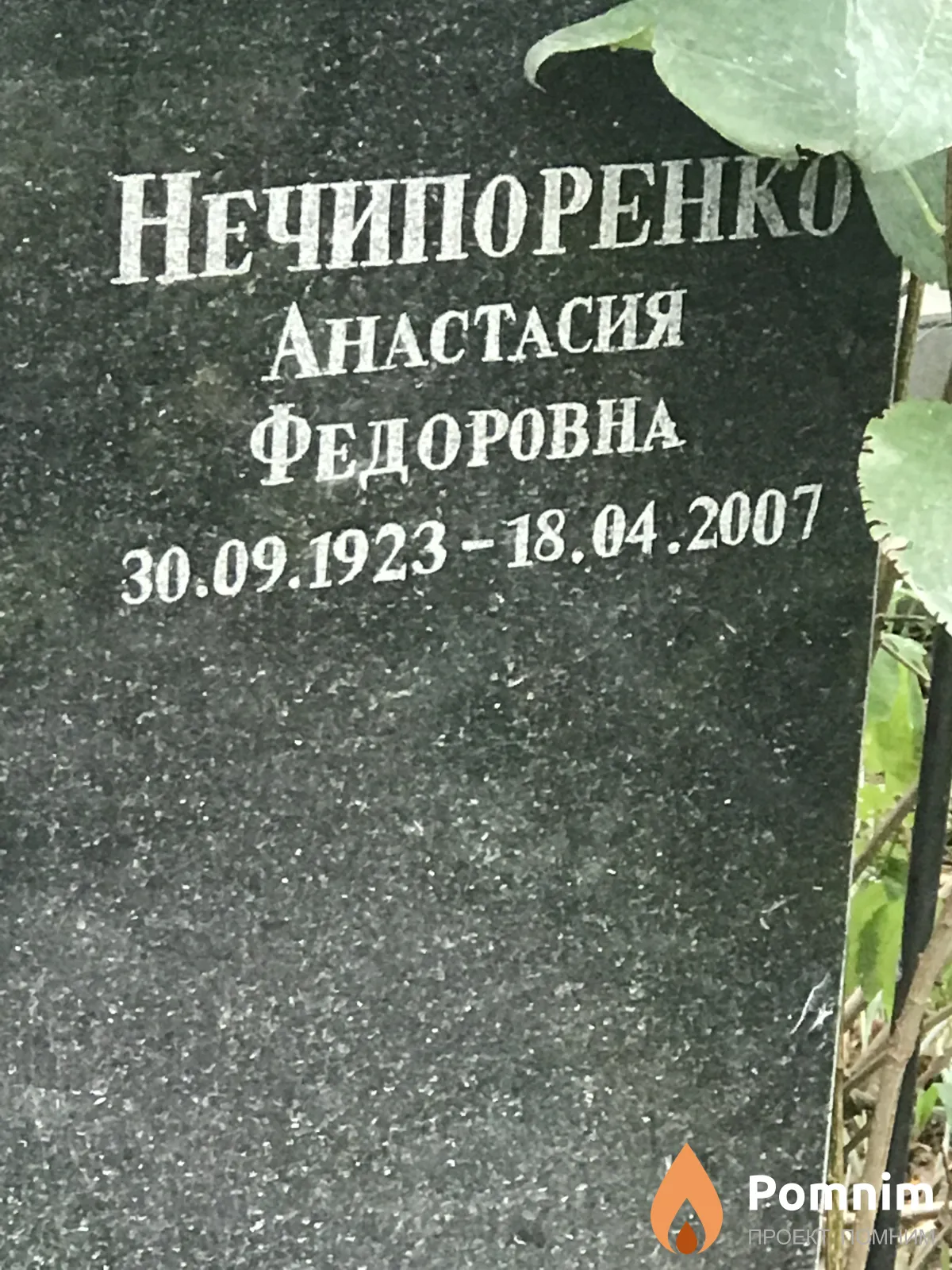 Нечипоренко Анастасия Фёдоровна