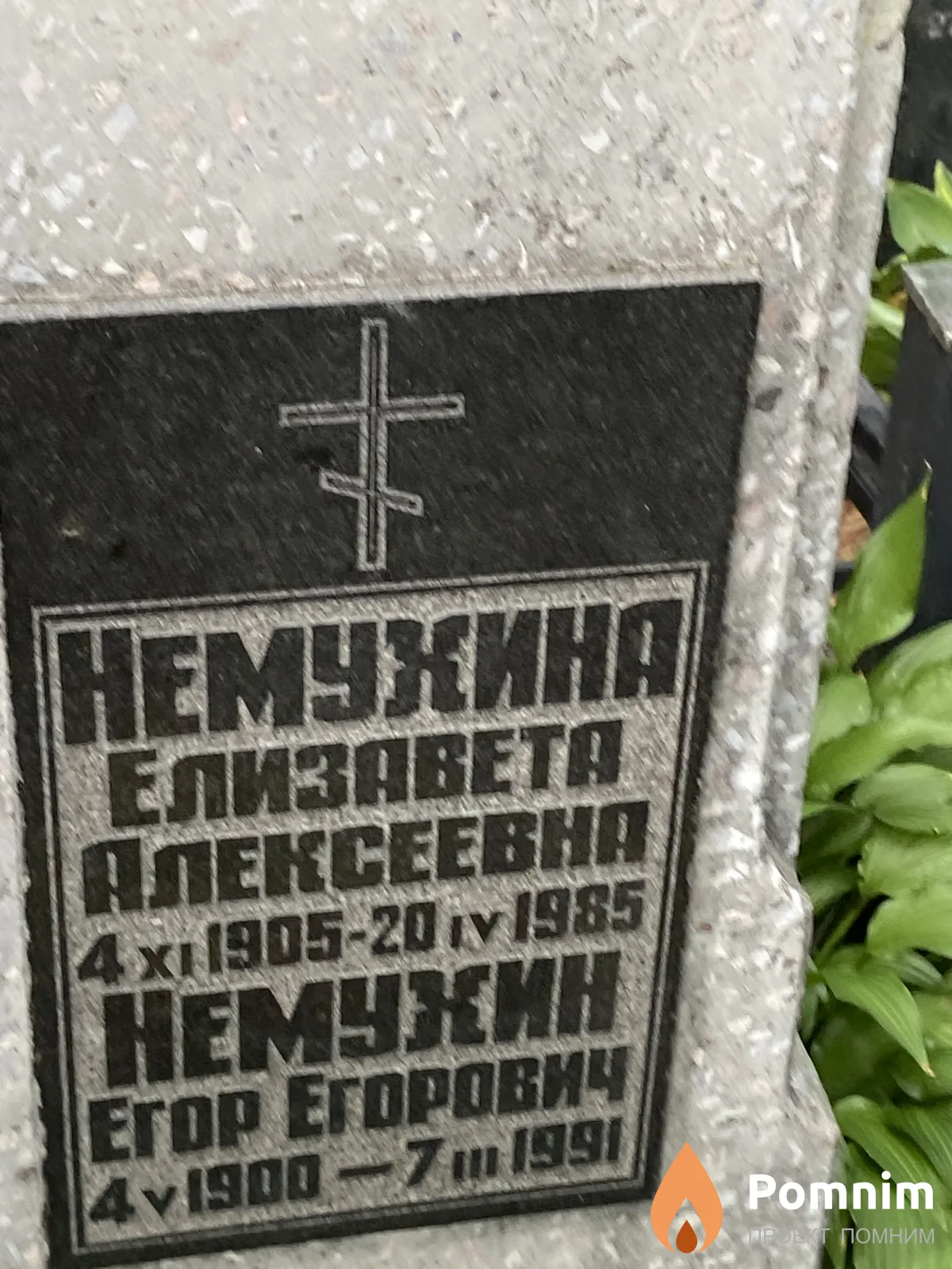 Немухина Елизавета Алексеевна