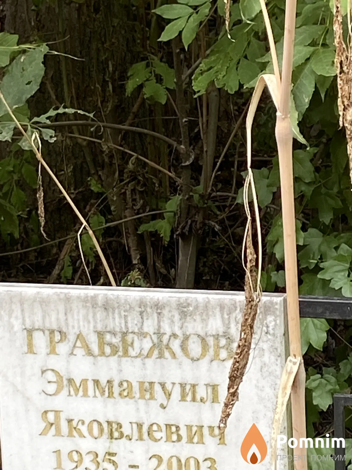 Грабежов Эммануил Яковлевич