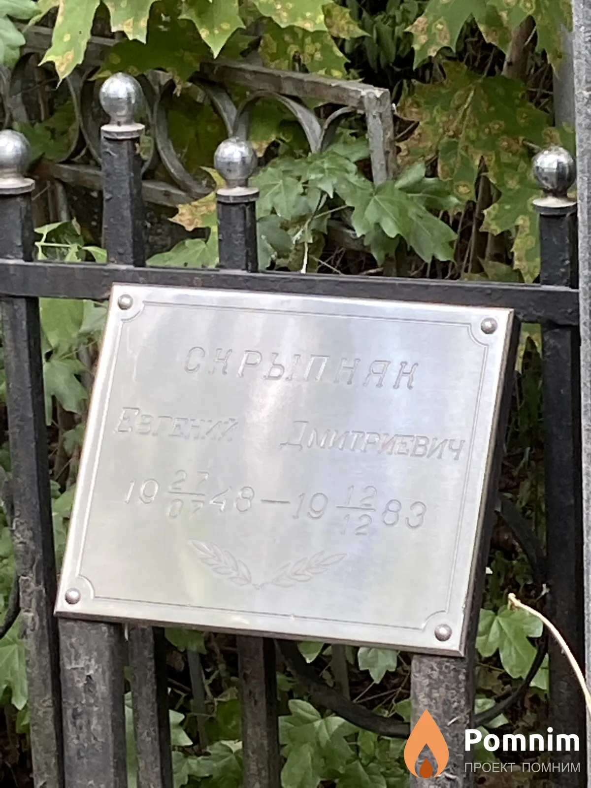 Скрыпняк Евгений Дмитриевич