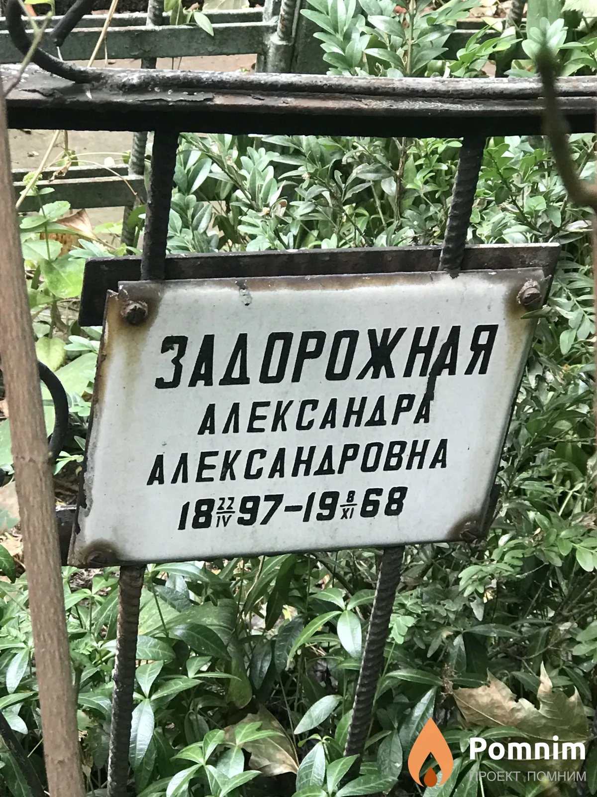 Задорожная Александра Александровна