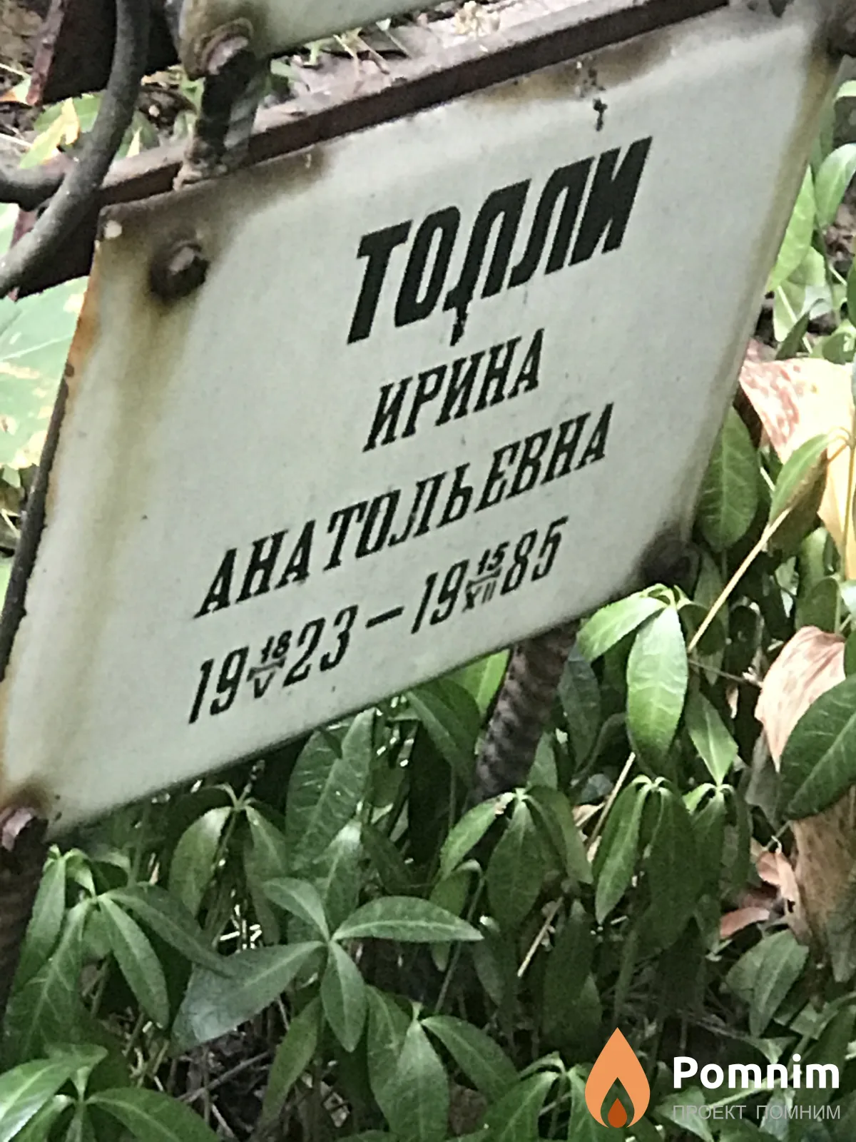 Толли Ирина Анатольевна