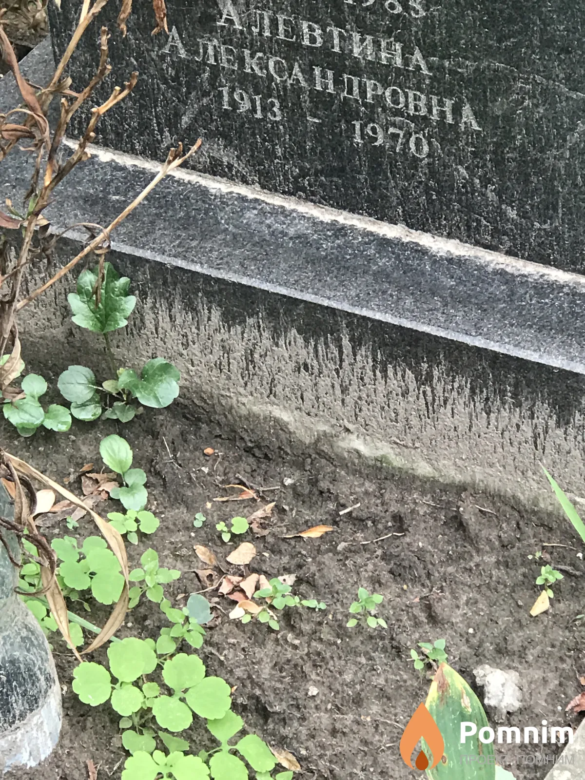 Титова Алевтина Александровна
