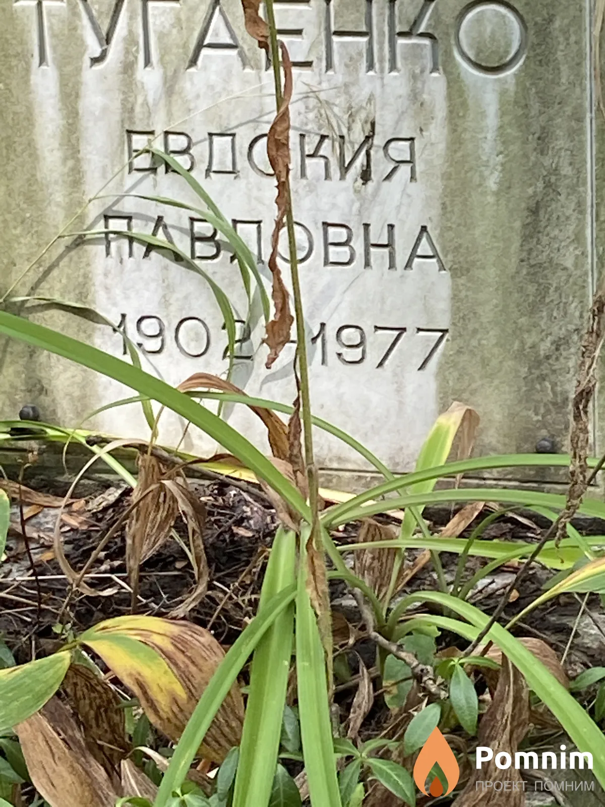 Тугаенко Евдокия Павловна
