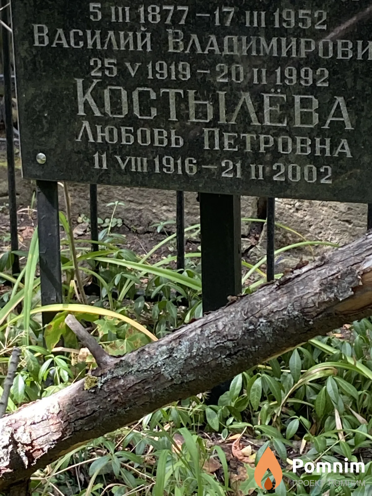 Костылева Любовь Петровна