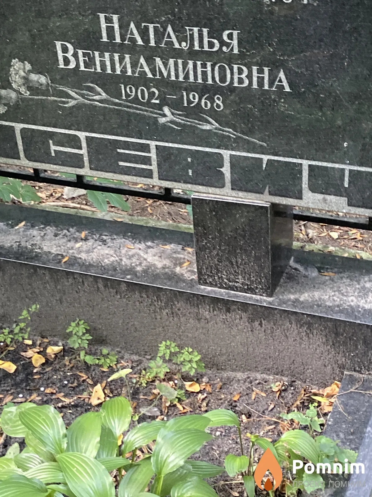 Тарасевич Наталья Вениаминовна