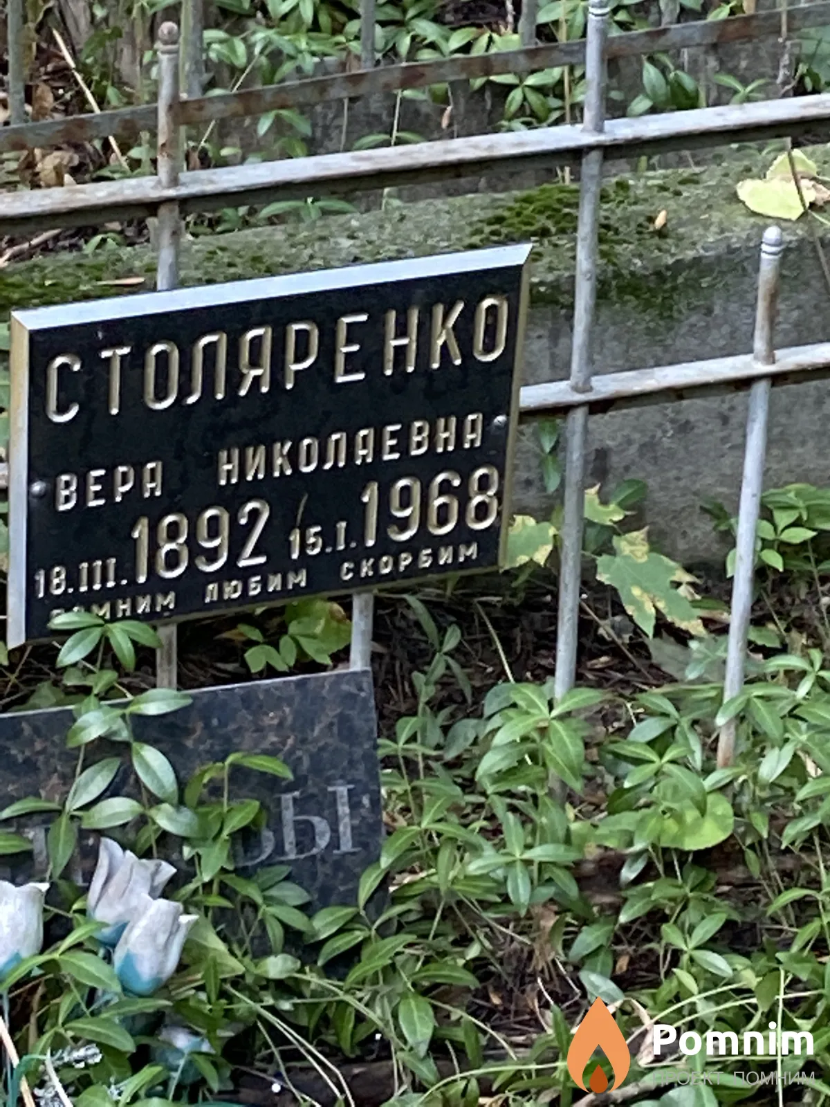 Столяренко Вера Николаевна