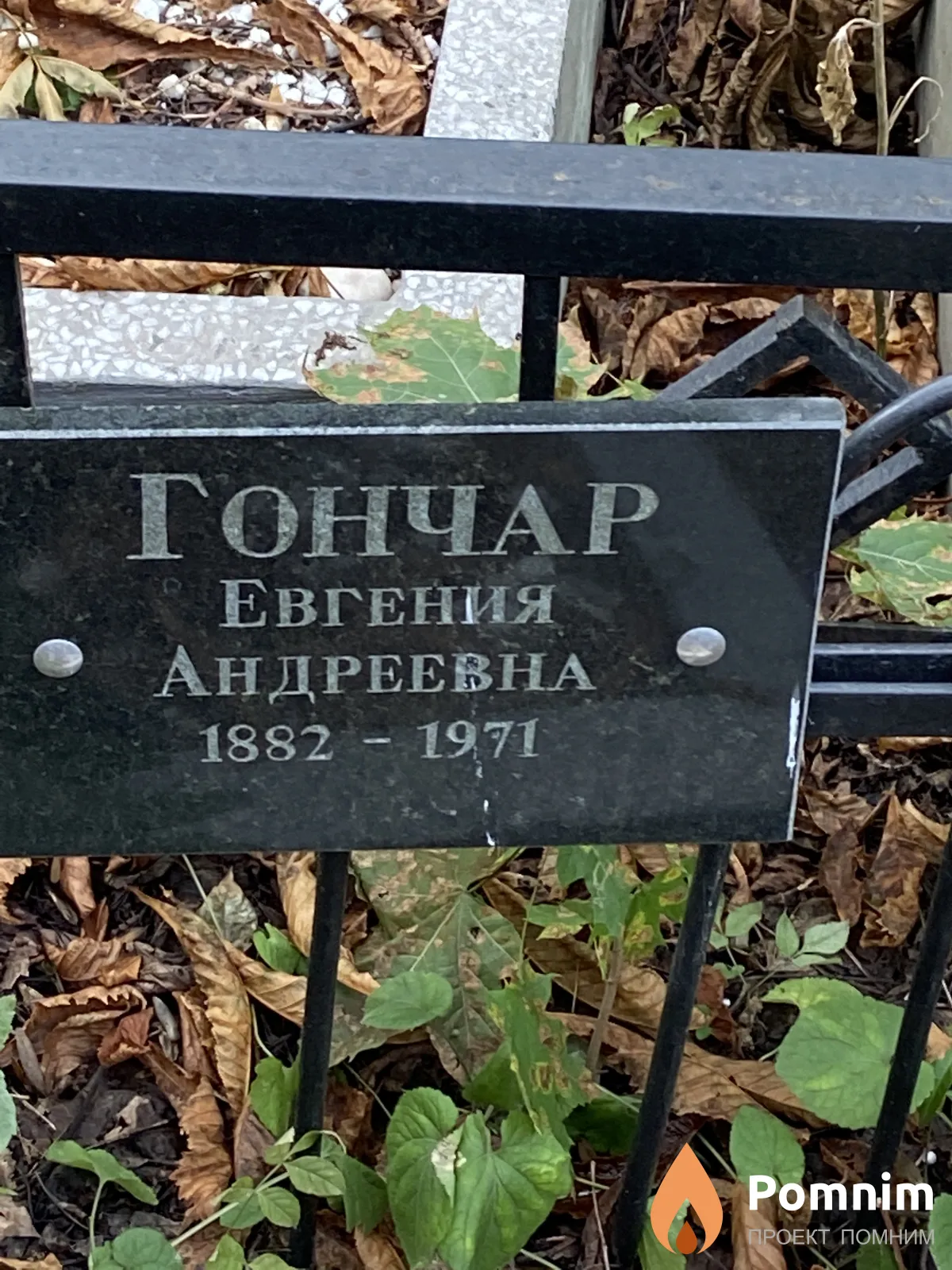 Гончар Евгения Андреевна