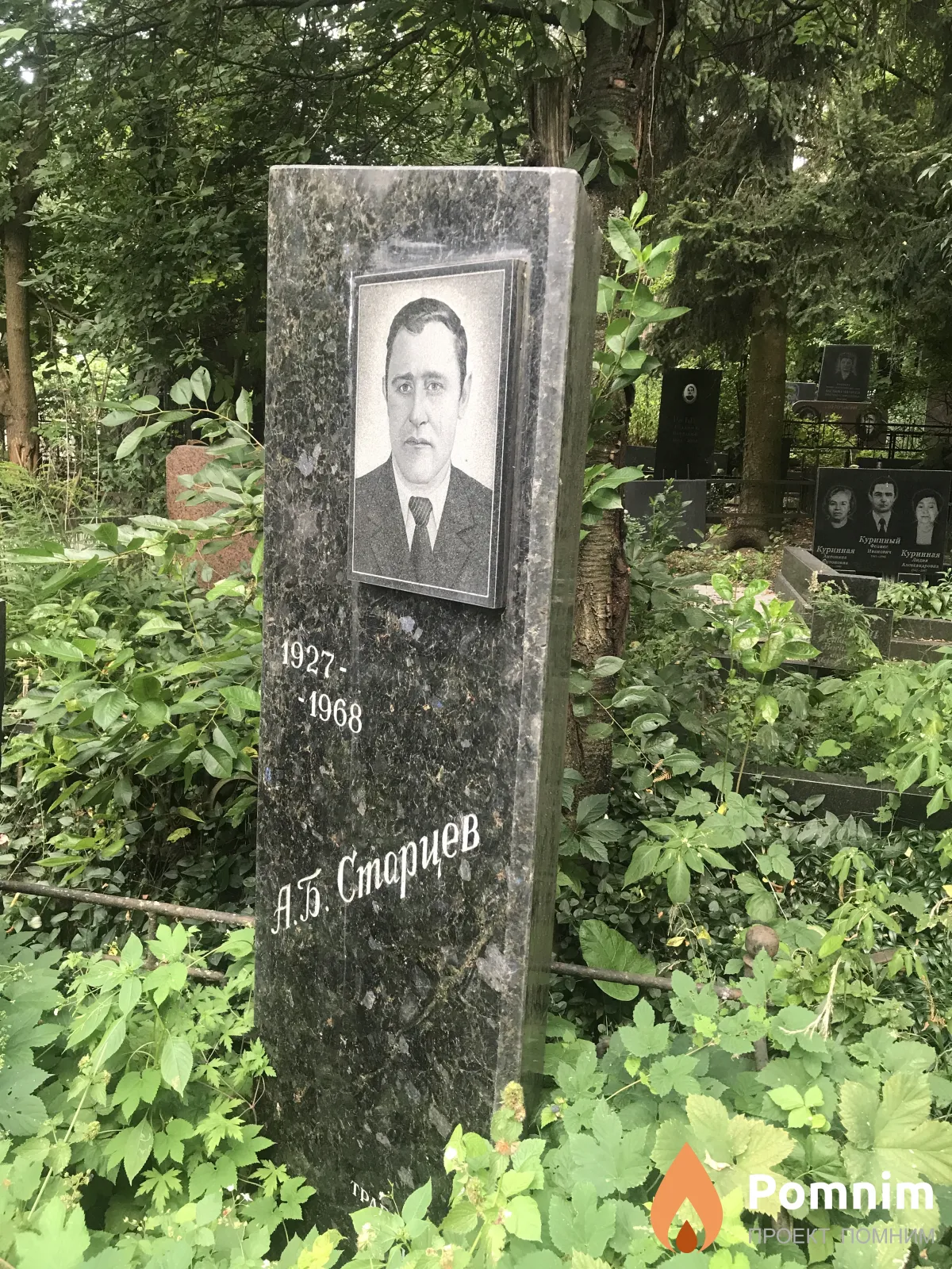 Куринная A.t. Cmapueb