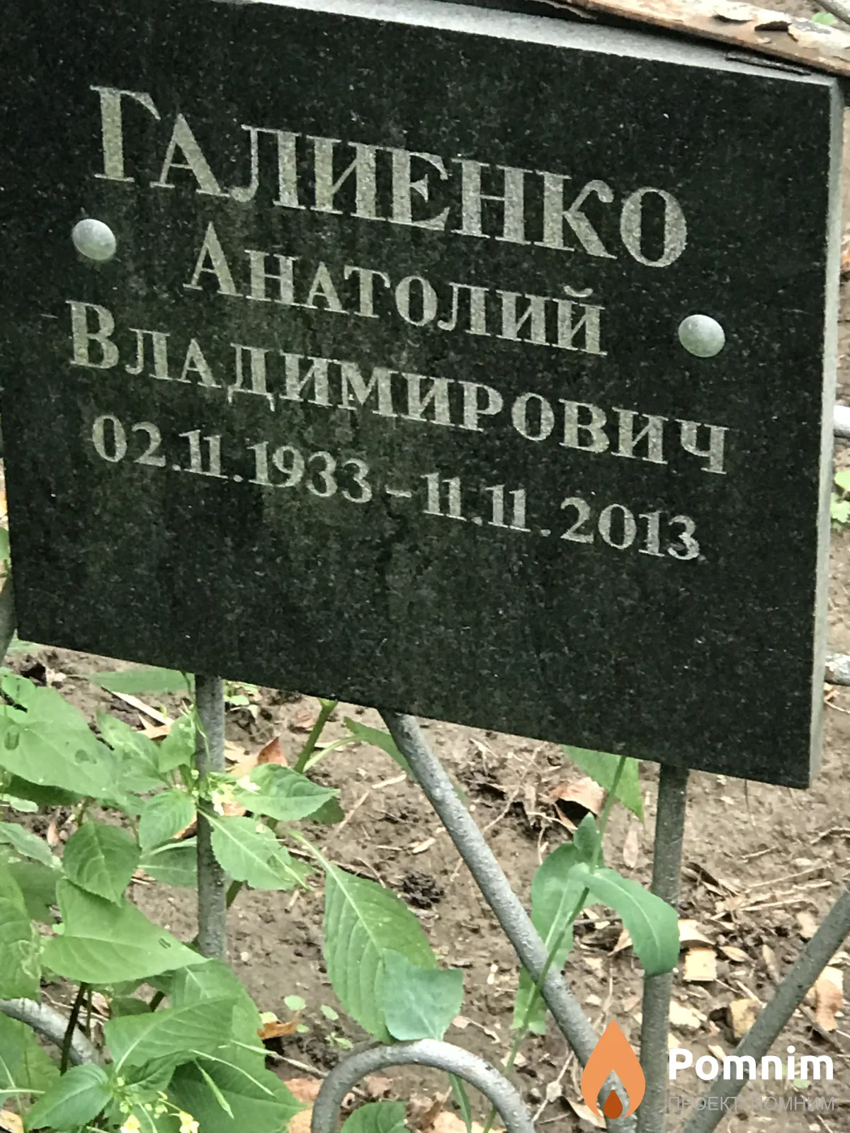 Галиенко Анатолий Владимирович