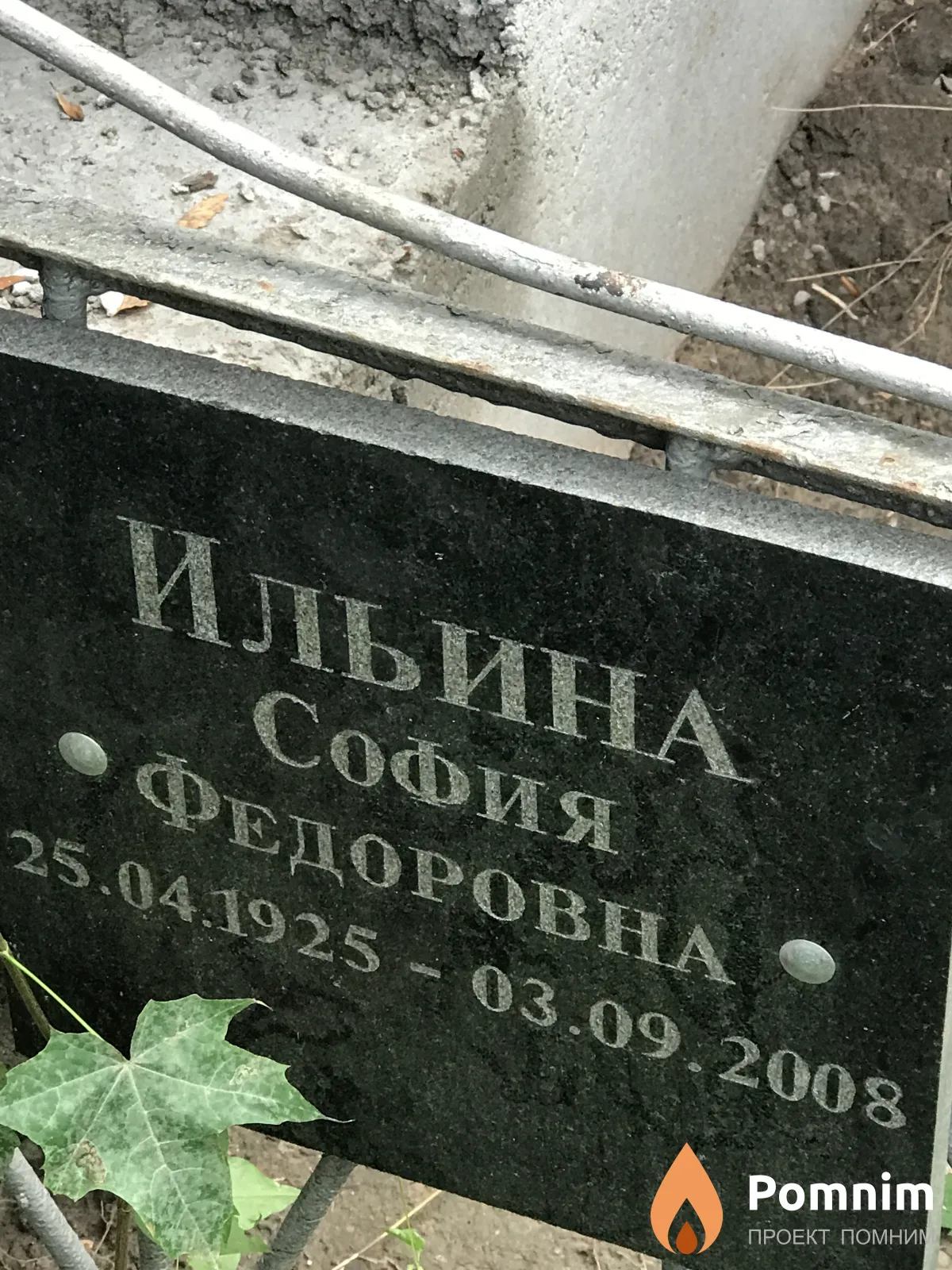 Ильина София Федоровна