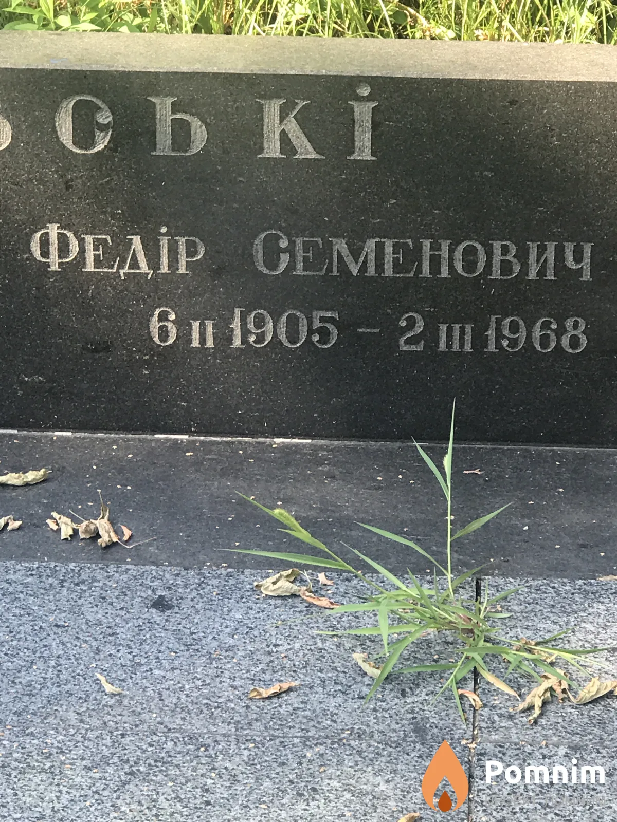 Добровильский Фёдор Семенович