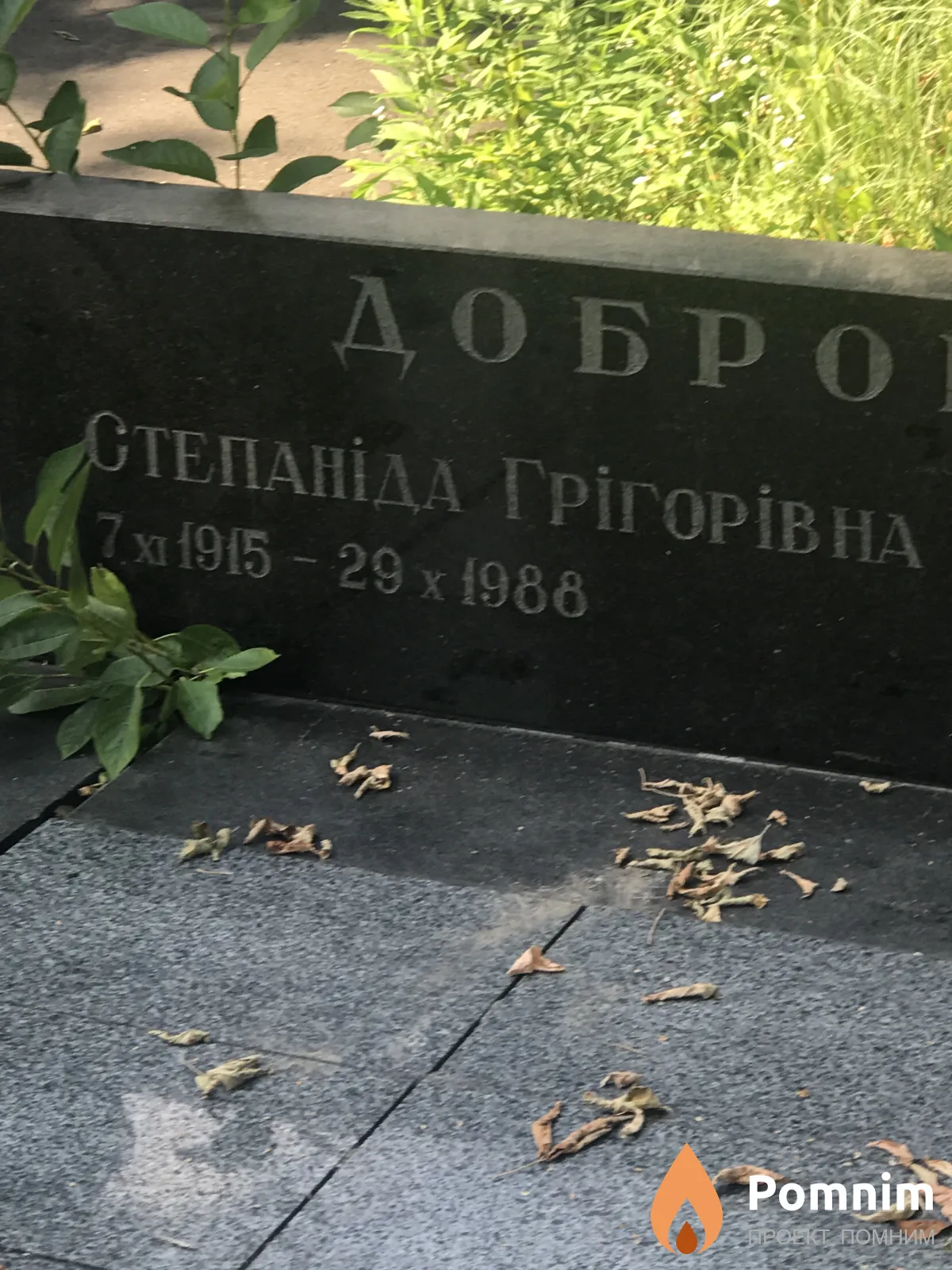 Добровольская Степанида Григорьевна