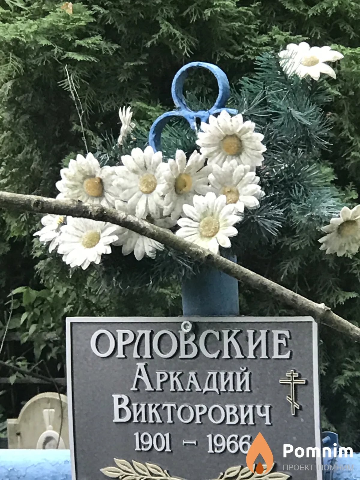Орловские Аркадий Викторович
