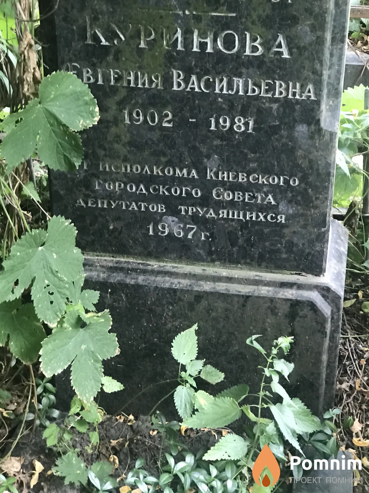 Куринова Евгения Васильевна
