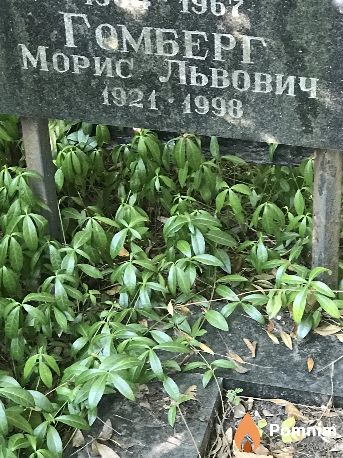 Гомберг Морис Львович