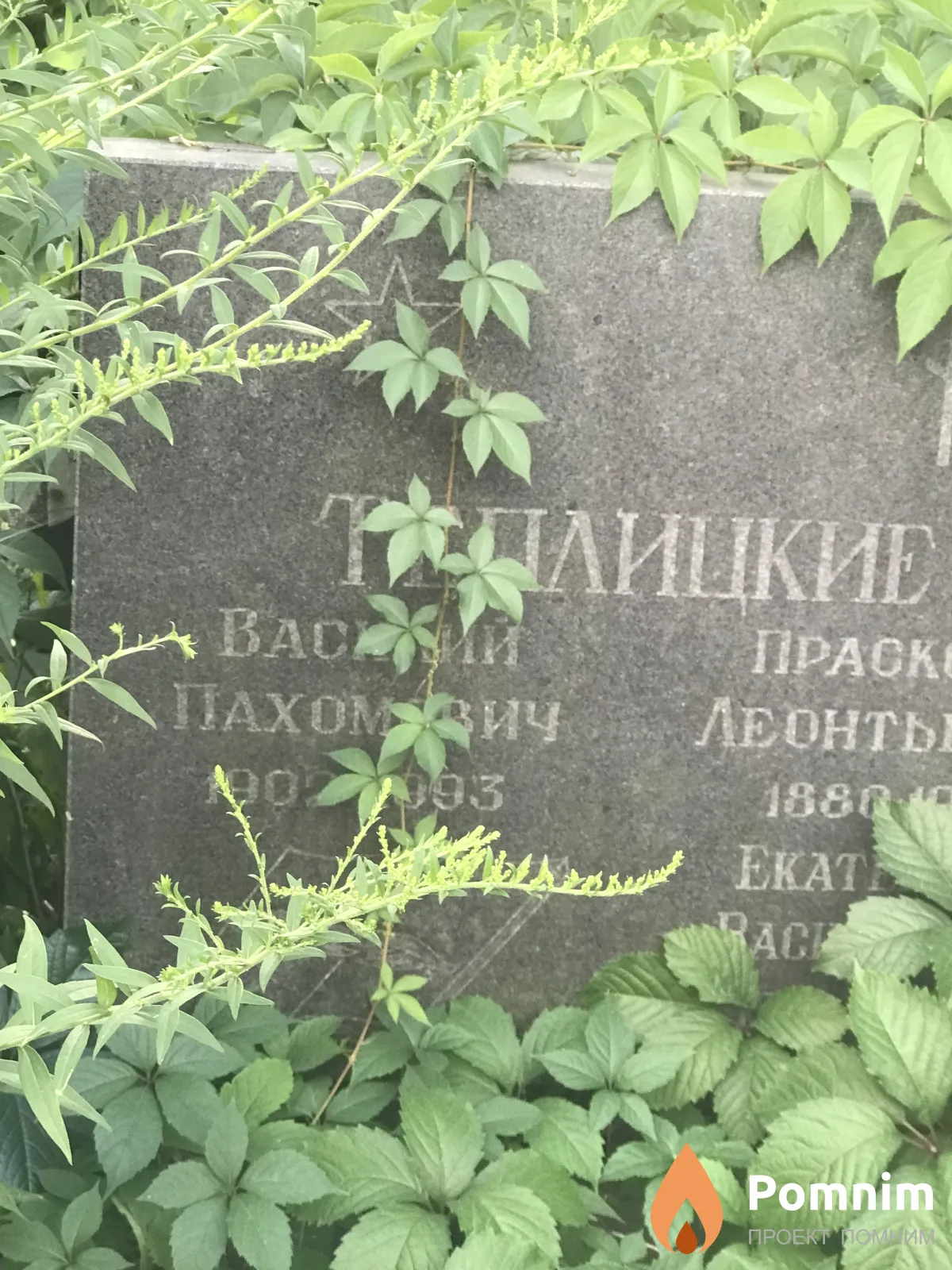 Теплицкий Василий Паханович