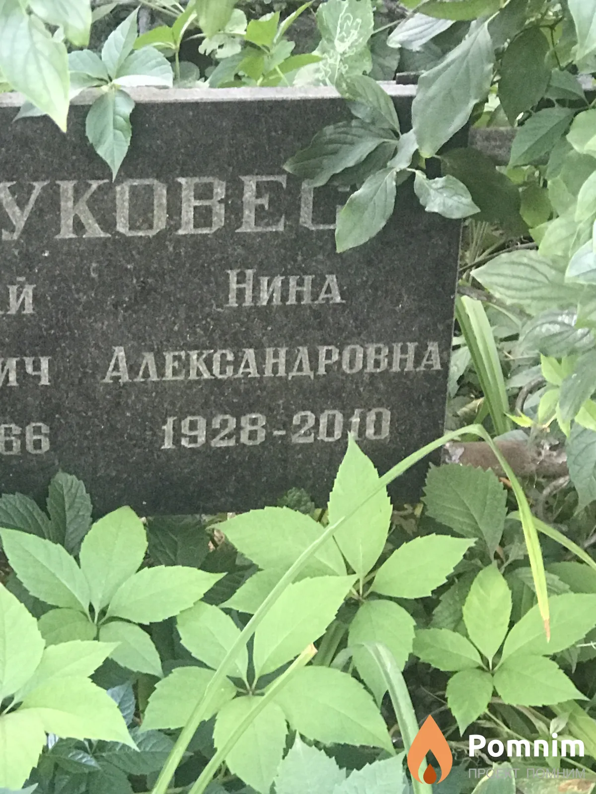 Круковес Нина Александровна