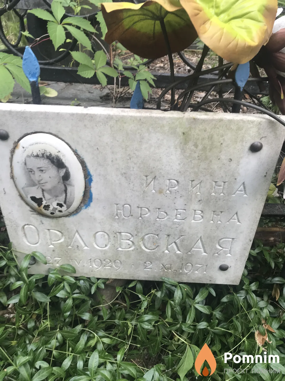 Орловская Ирина Юрьевна