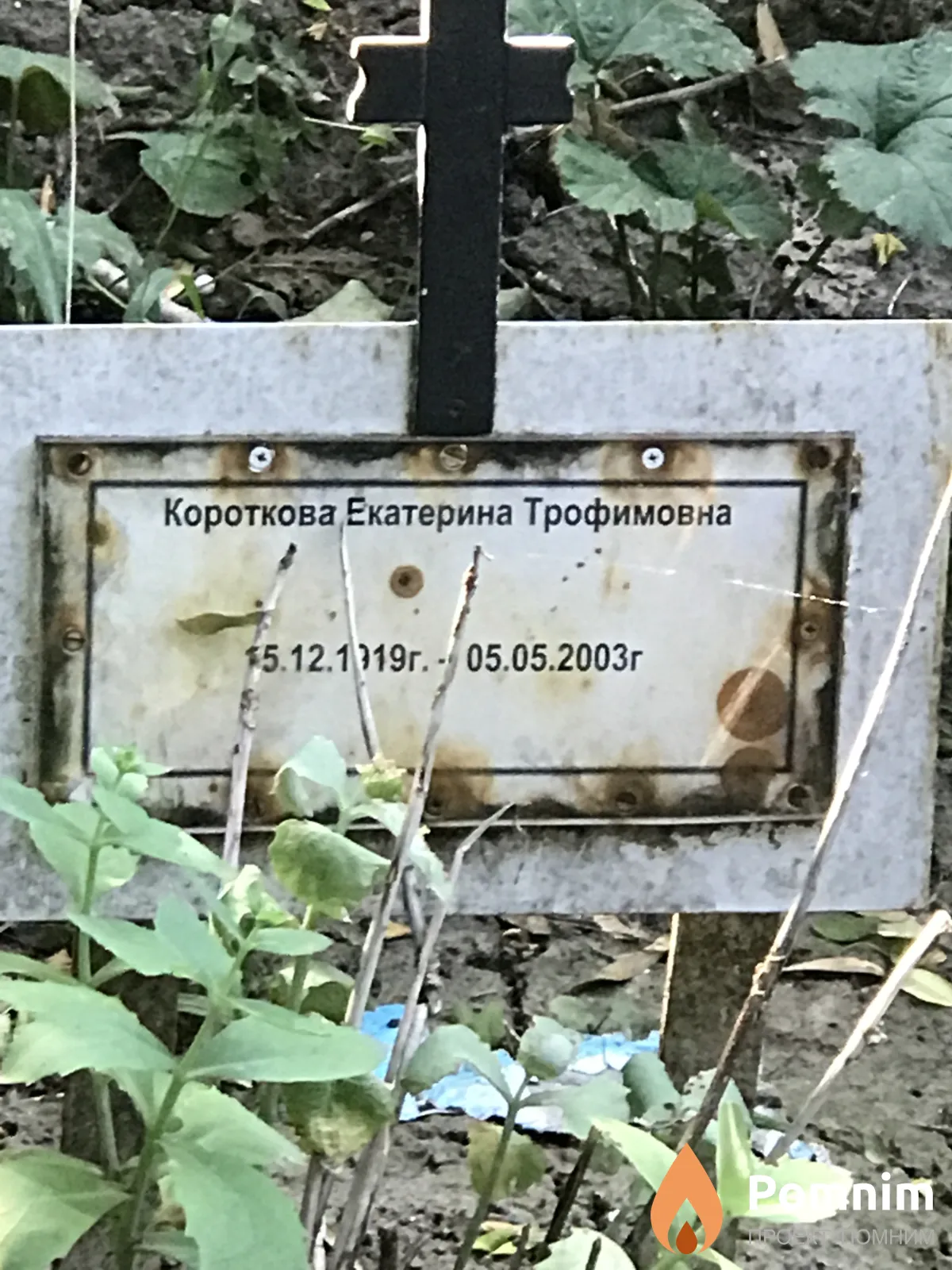 Короткова Екатерина Трофимова