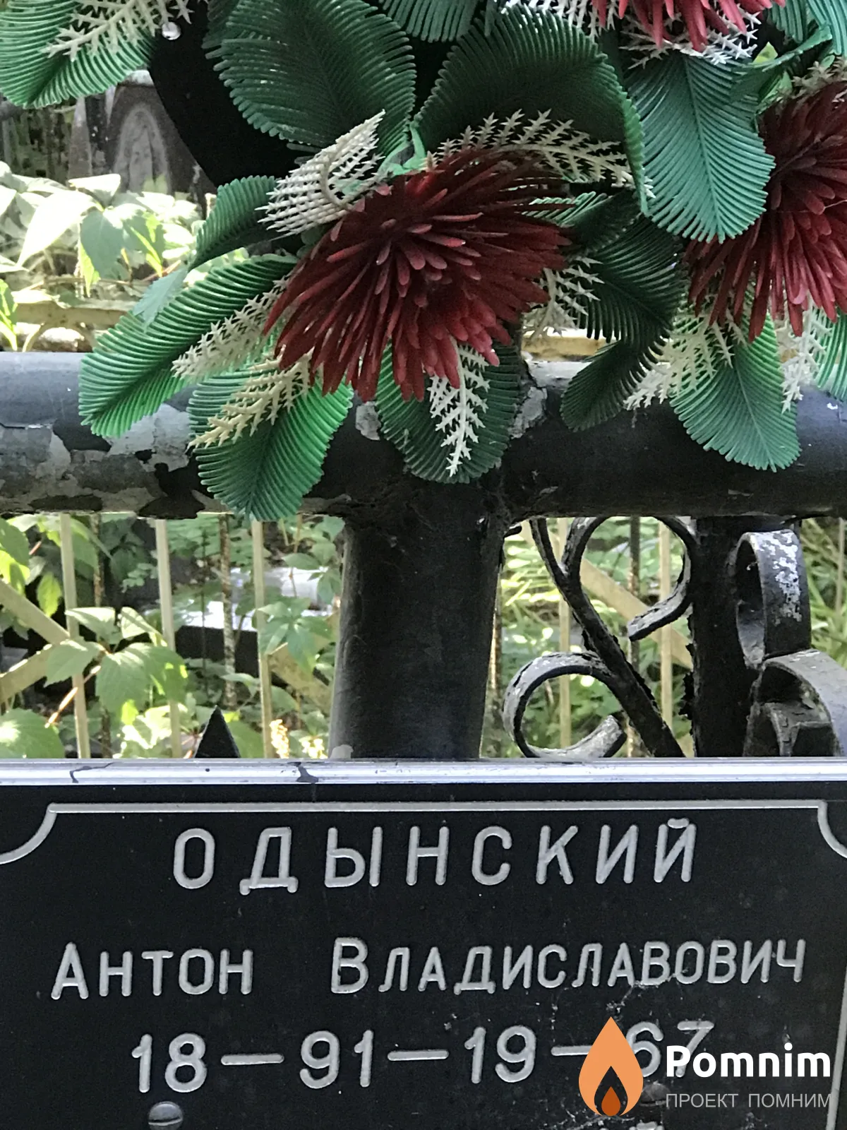 Одынский Антон Владиславович