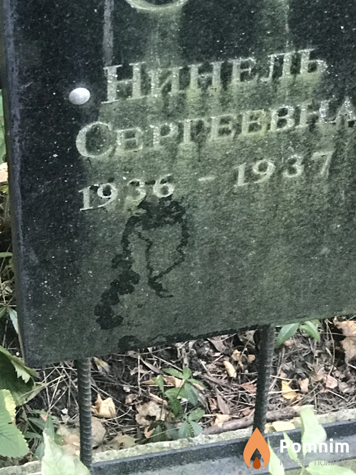 Столярова Нинель Сергеевна