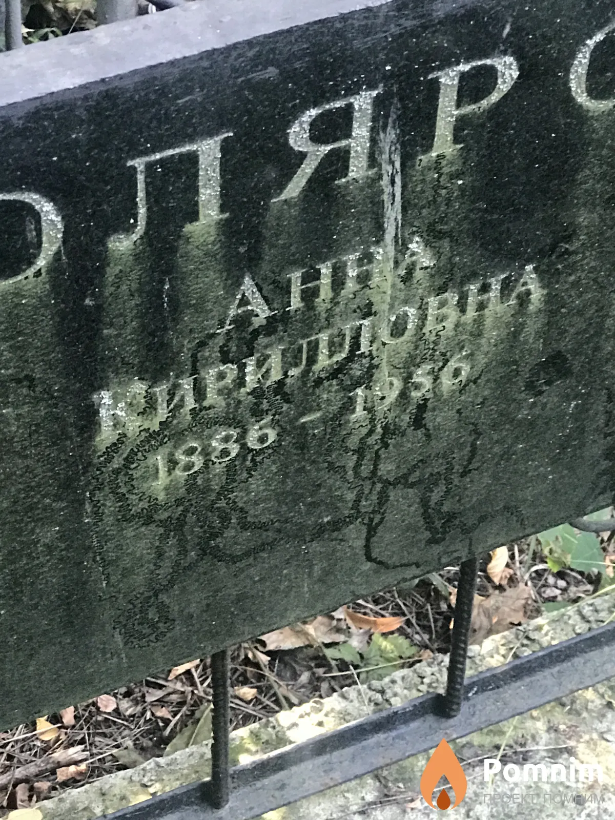 Столярова Анна Кирилловна