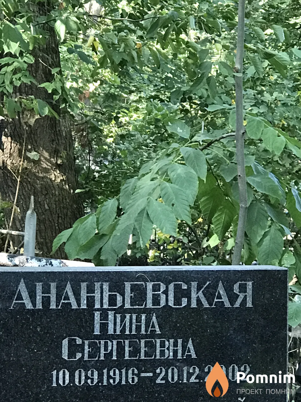 Ананьевская Нина Сергеевна