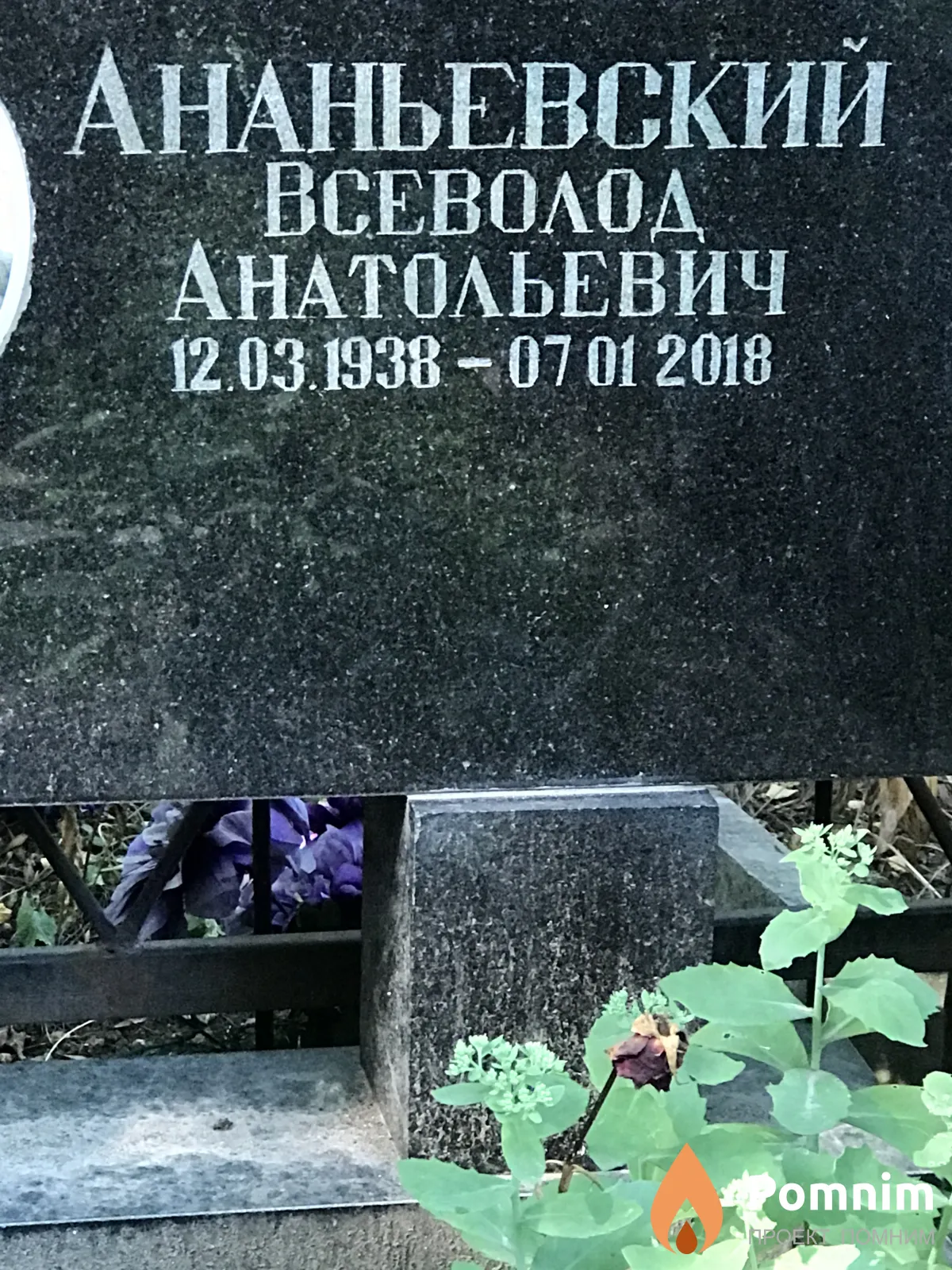Ананьевский Всеволод Анатольевич
