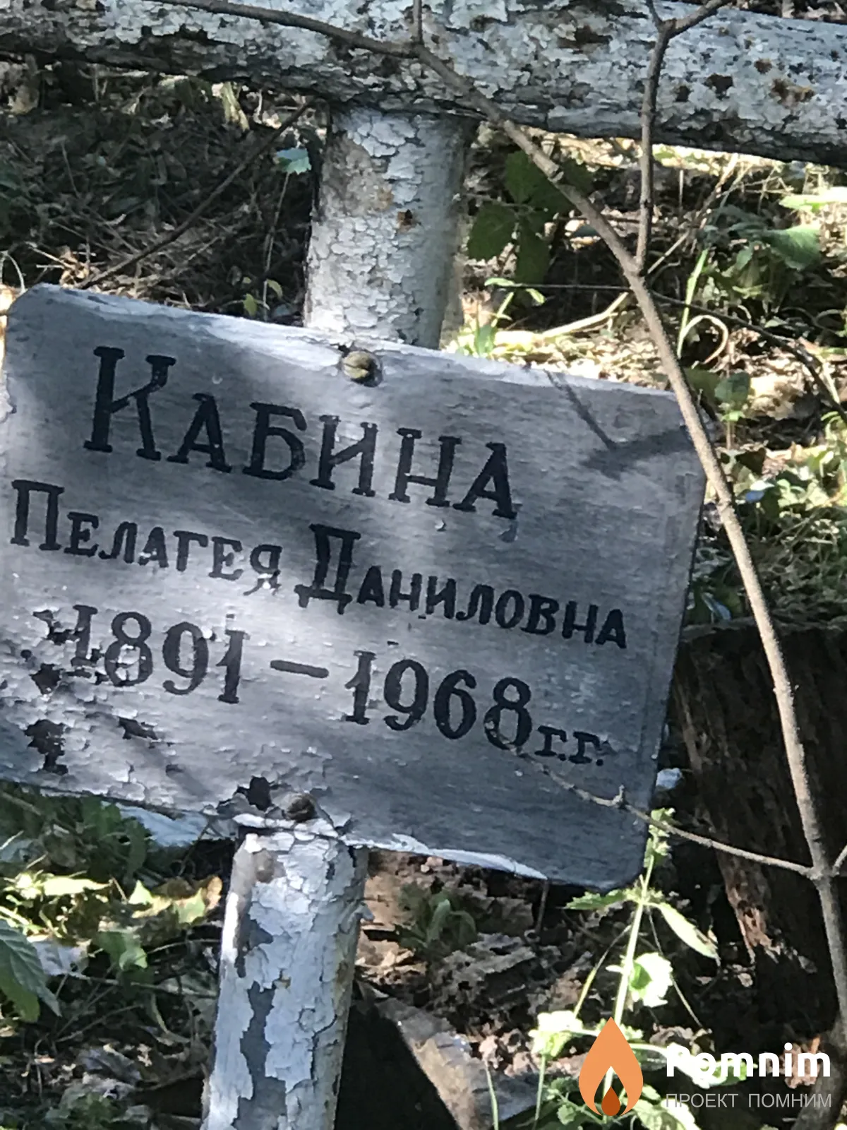 Кабина Пелагея Даниловна