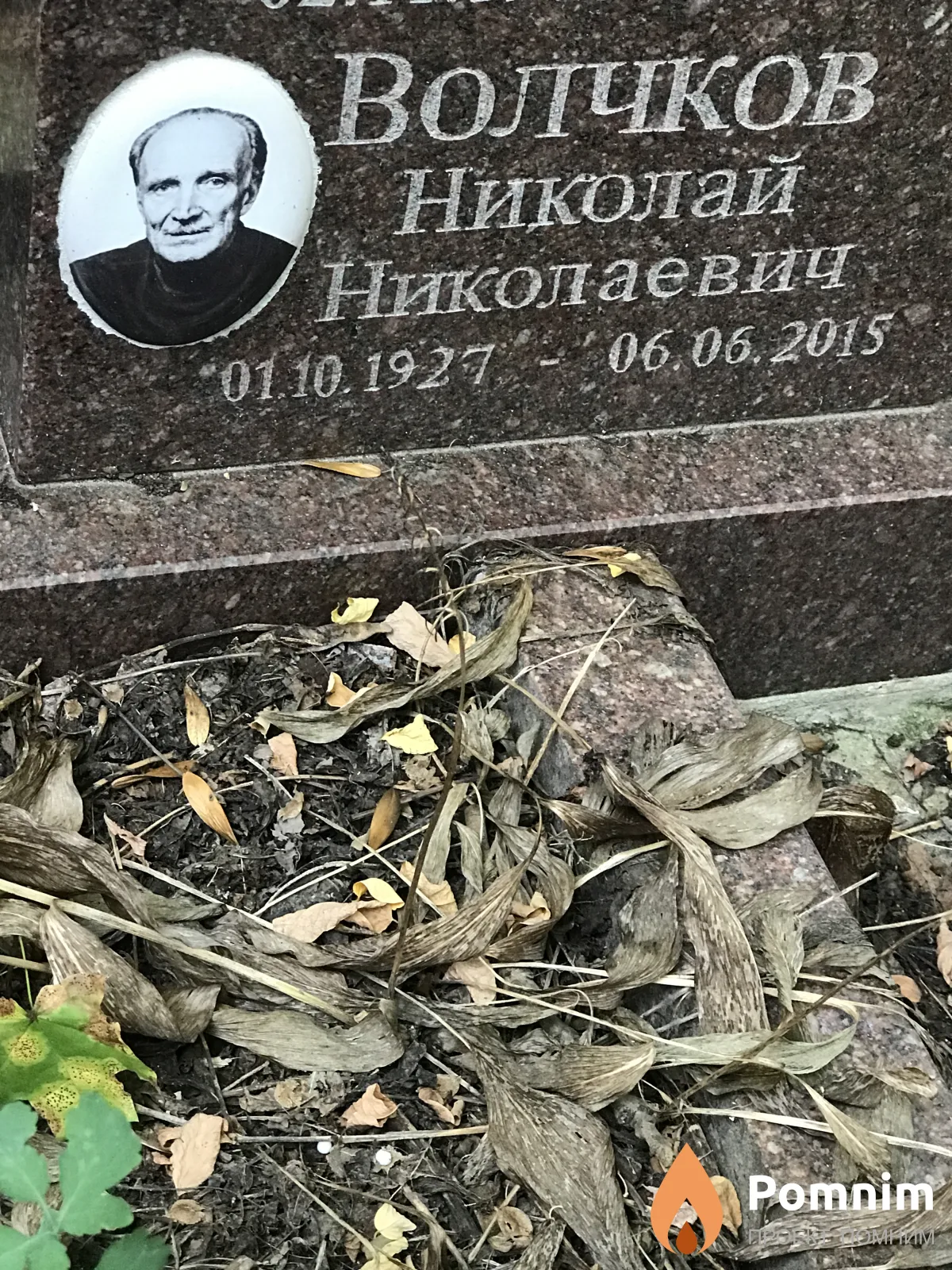 Волчков Николай Николаевич