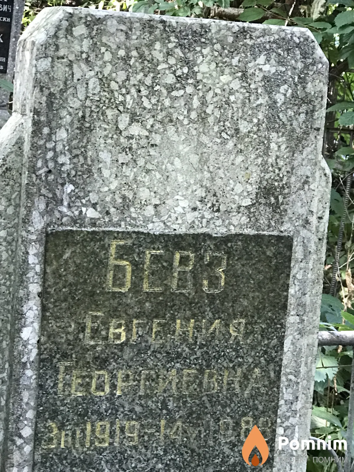 Бевз Евгения Теоргиевна