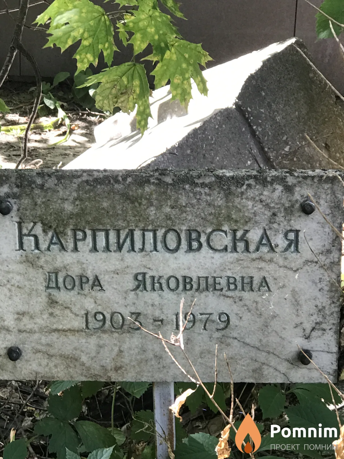 Карпиловская Дора Яковлевна